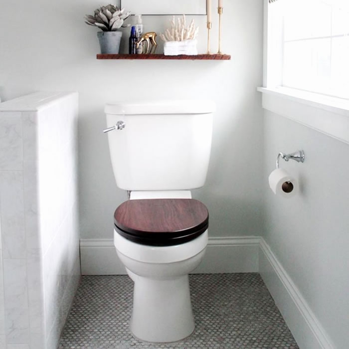 toilet toilet